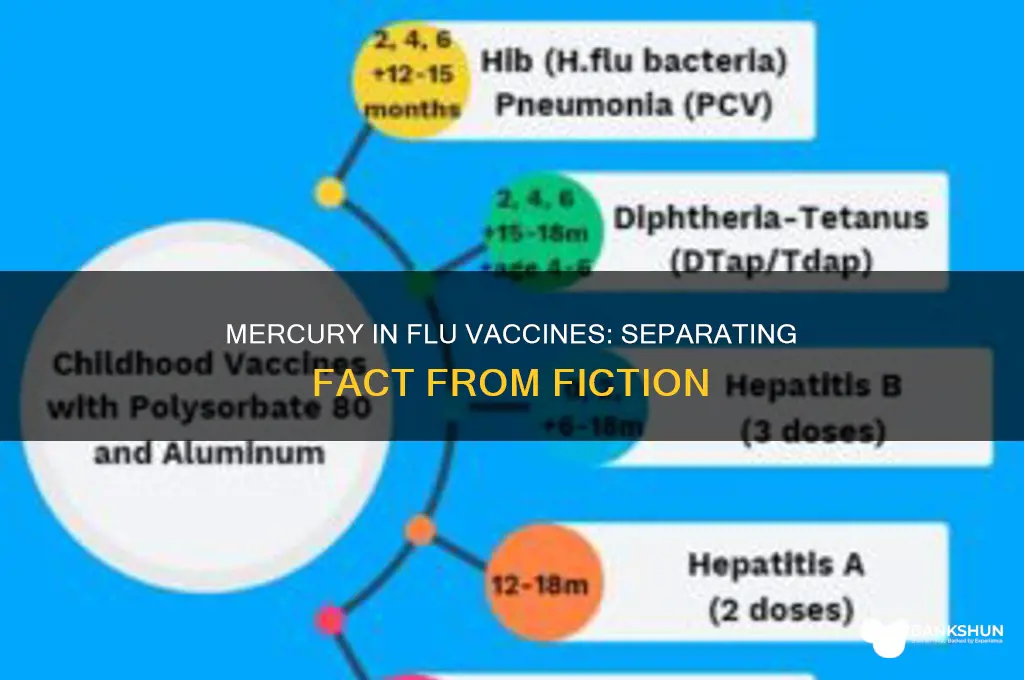 is there mercury in the influenza vaccine