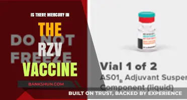 Is There Mercury in the RZV Vaccine? Facts and Safety Explained