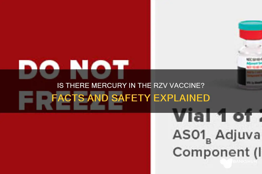 is there mercury in the rzv vaccine