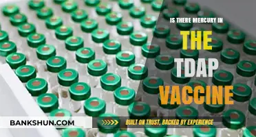 Mercury in Tdap Vaccine: Separating Fact from Fiction