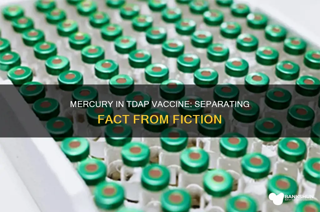is there mercury in the tdap vaccine