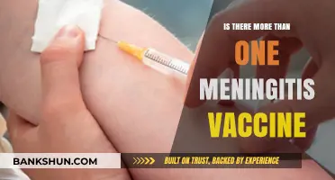 Exploring Meningitis Vaccines: Are There Multiple Options Available?