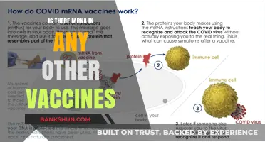 Exploring mRNA Technology: Its Presence in Vaccines Beyond COVID-19