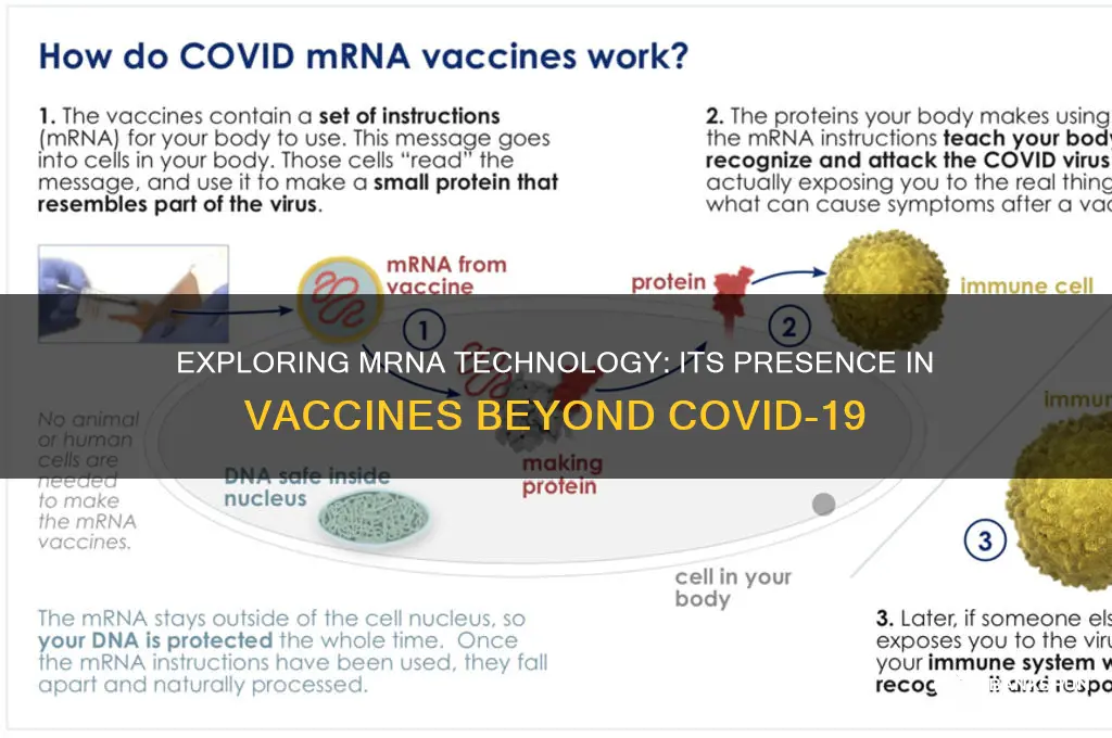 is there mrna in any other vaccines