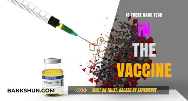 Nano Tech in Vaccines: Fact or Fiction? Unraveling the Truth