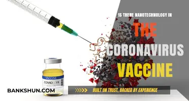 Nanotechnology in COVID-19 Vaccines: Fact or Fiction?