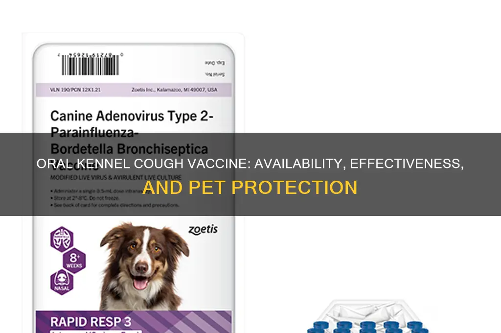 is there oral kennell cough vaccine against