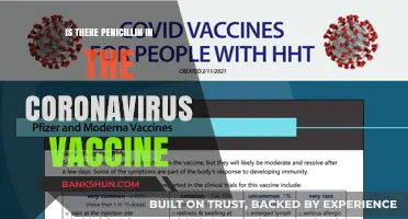 Debunking Myths: Does the Coronavirus Vaccine Contain Penicillin?