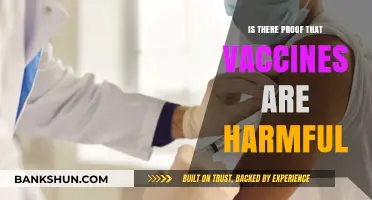 Vaccine Safety: Examining Claims of Harm and Scientific Evidence
