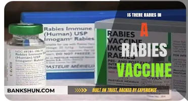 Rabies Vaccine Safety: Debunking Myths About Rabies in Vaccines