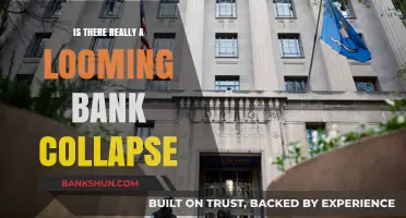 Is a Bank Collapse Imminent? Analyzing the Looming Financial Crisis