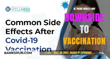 Vaccination Downsides: Separating Fact from Fiction in Immunization Debates