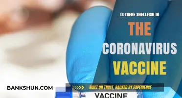 Shellfish in COVID-19 Vaccines: Separating Fact from Fiction