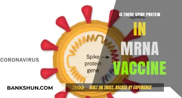 Unraveling the Truth: Spike Proteins in mRNA Vaccines Explained