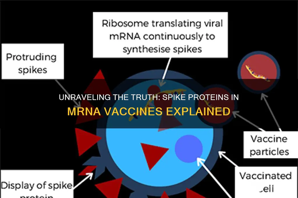 is there spike protein in mrna vaccine