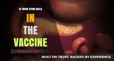 Stem Cells in Vaccines: Separating Fact from Fiction