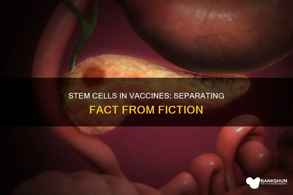is there stem cells in the vaccine