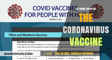 Coronavirus Vaccine and Sulfa: Debunking Myths About Ingredients