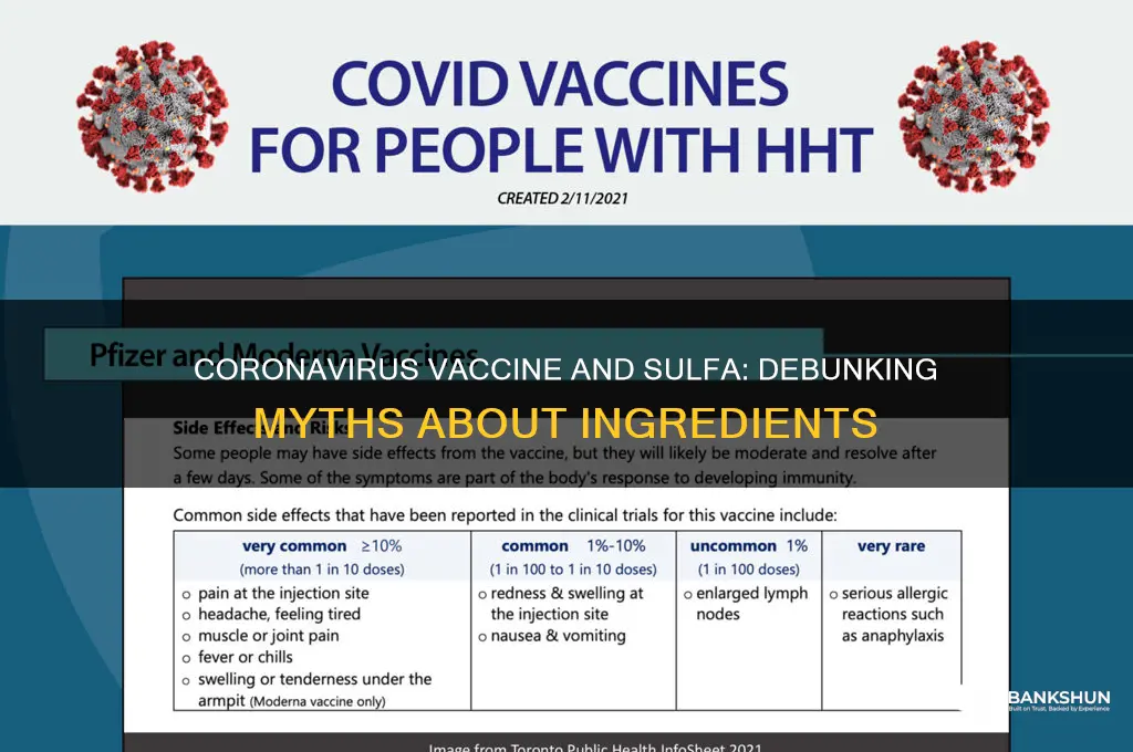 is there sulfa in the coronavirus vaccine