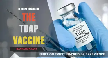 Does the Tdap Vaccine Contain Tetanus? Facts and Insights