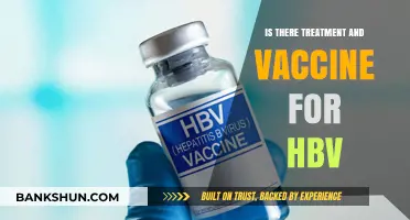 Exploring HBV Treatment Options and Vaccine Availability: What You Need to Know