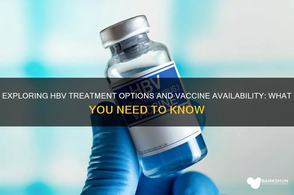 is there treatment and vaccine for hbv