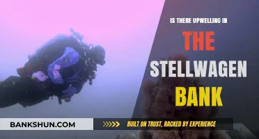 Exploring Stellwagen Bank: Uncovering the Mystery of Upwelling Dynamics