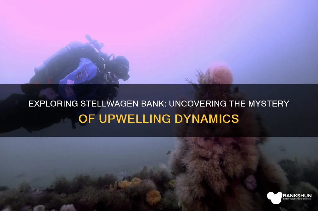 is there upwelling in the stellwagen bank