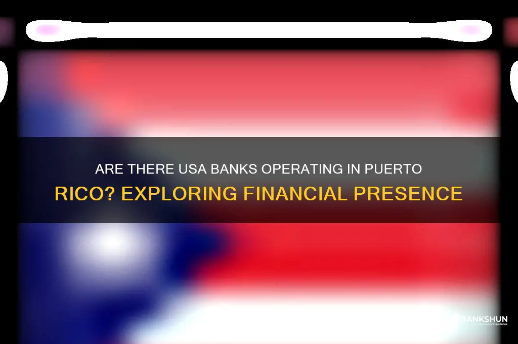 is there usa banks in puerto roco