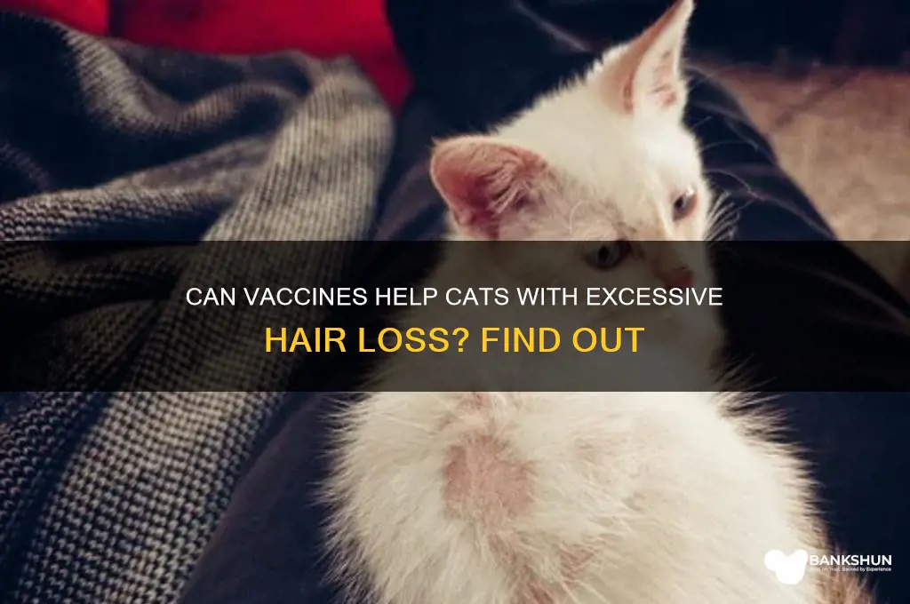 is there vaccin for cats falling hair