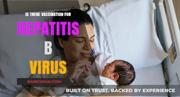 Hepatitis B Vaccination: Availability, Effectiveness, and Importance Explained