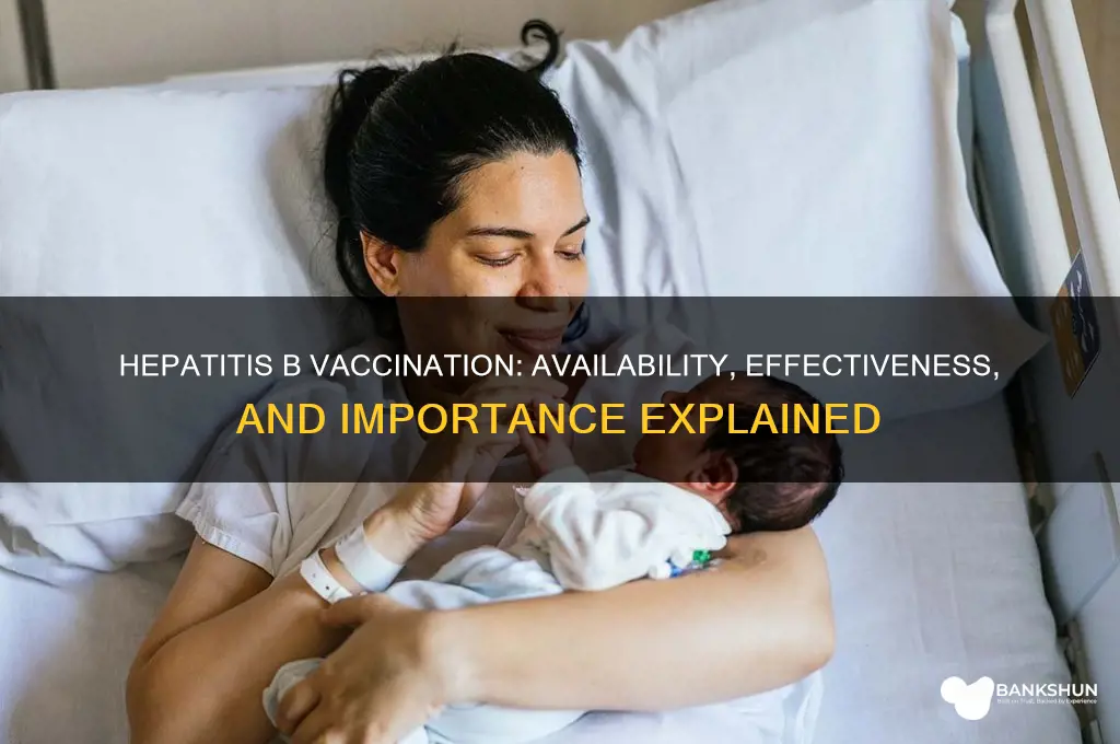 is there vaccination for hepatitis b virus