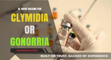 Chlamydia and Gonorrhea Vaccines: Current Research and Future Possibilities