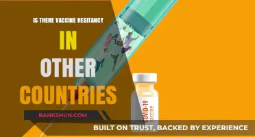 Global Vaccine Hesitancy: Exploring Resistance Beyond Borders and Cultures