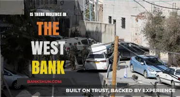 Violence in the West Bank: Reality, Causes, and Consequences Explored