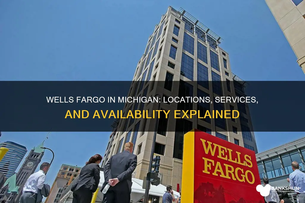 is there wells fargo bank in michigan
