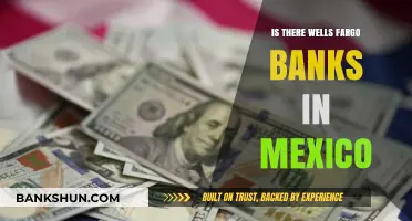 Wells Fargo in Mexico: Exploring Banking Options Across Borders