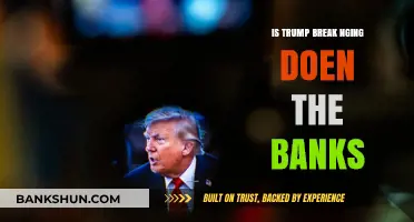 Is Trump's Presidency Undermining the Stability of US Banks?