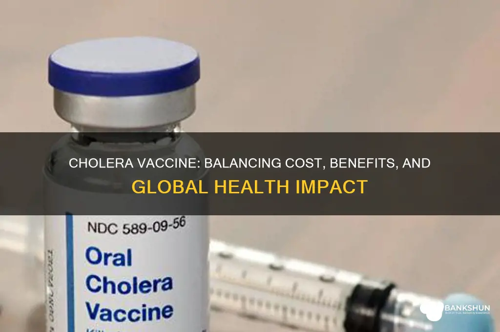 is tthe cholera vaccine worth the cost