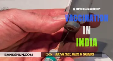 Is Typhoid Vaccination Mandatory in India? Key Facts Explained