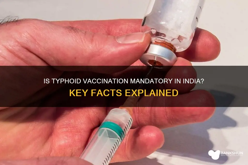 is typhoid a mandatory vaccination in india