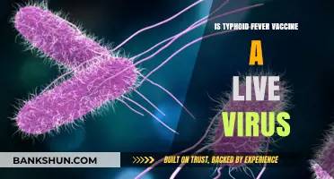 Is the Typhoid Fever Vaccine a Live Virus? Facts Explained
