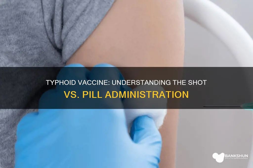 is typhoid vaccine a shot or pill