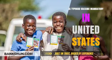 Is Typhoid Vaccine Mandatory in the United States? Key Facts