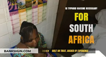 Is Typhoid Vaccine Essential for Travelers and Residents in South Africa?