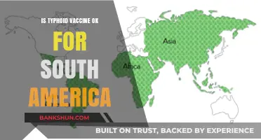 Is Typhoid Vaccine Safe and Effective for South America Travel?