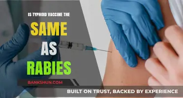 Typhoid vs. Rabies Vaccines: Understanding Their Differences and Uses