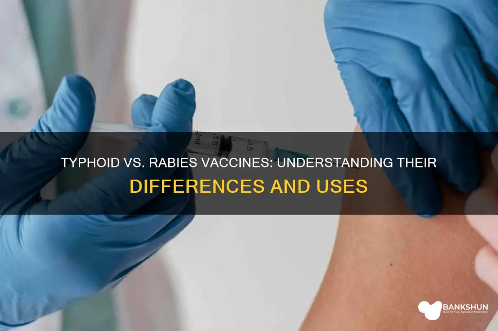 is typhoid vaccine the same as rabies