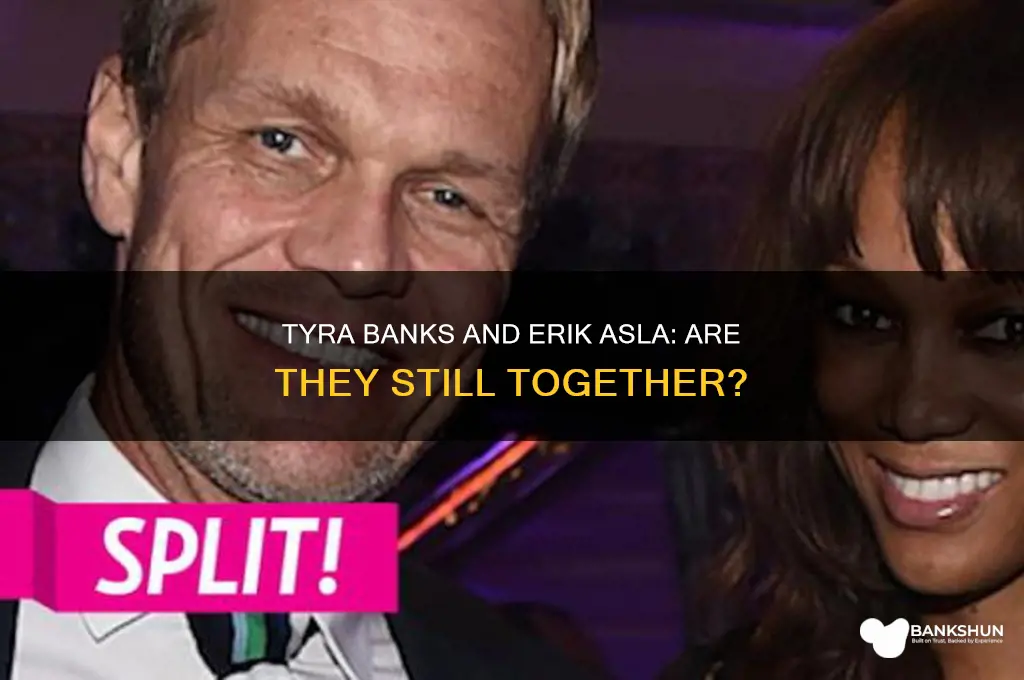 is tyra banks still dating erik asla