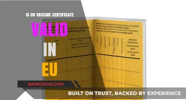 Is the UK Vaccine Certificate Valid for EU Travel?